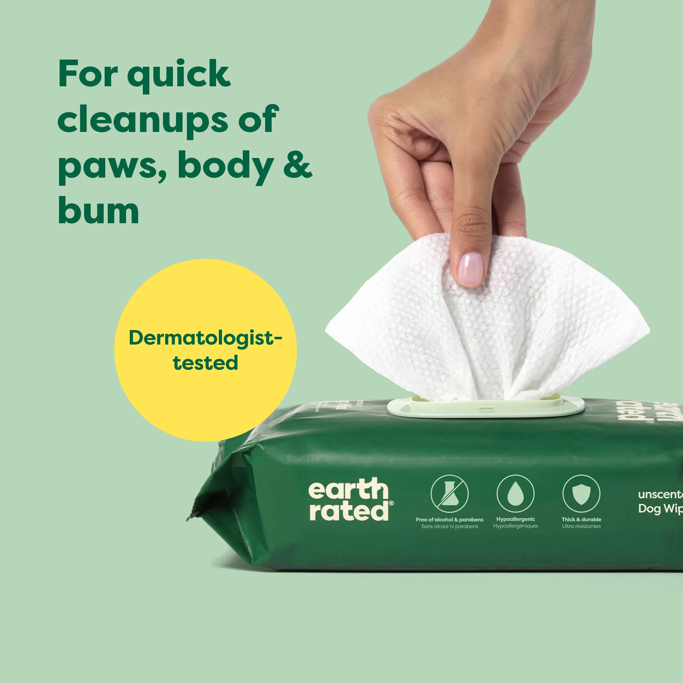 100 Wipes (1 Pack)