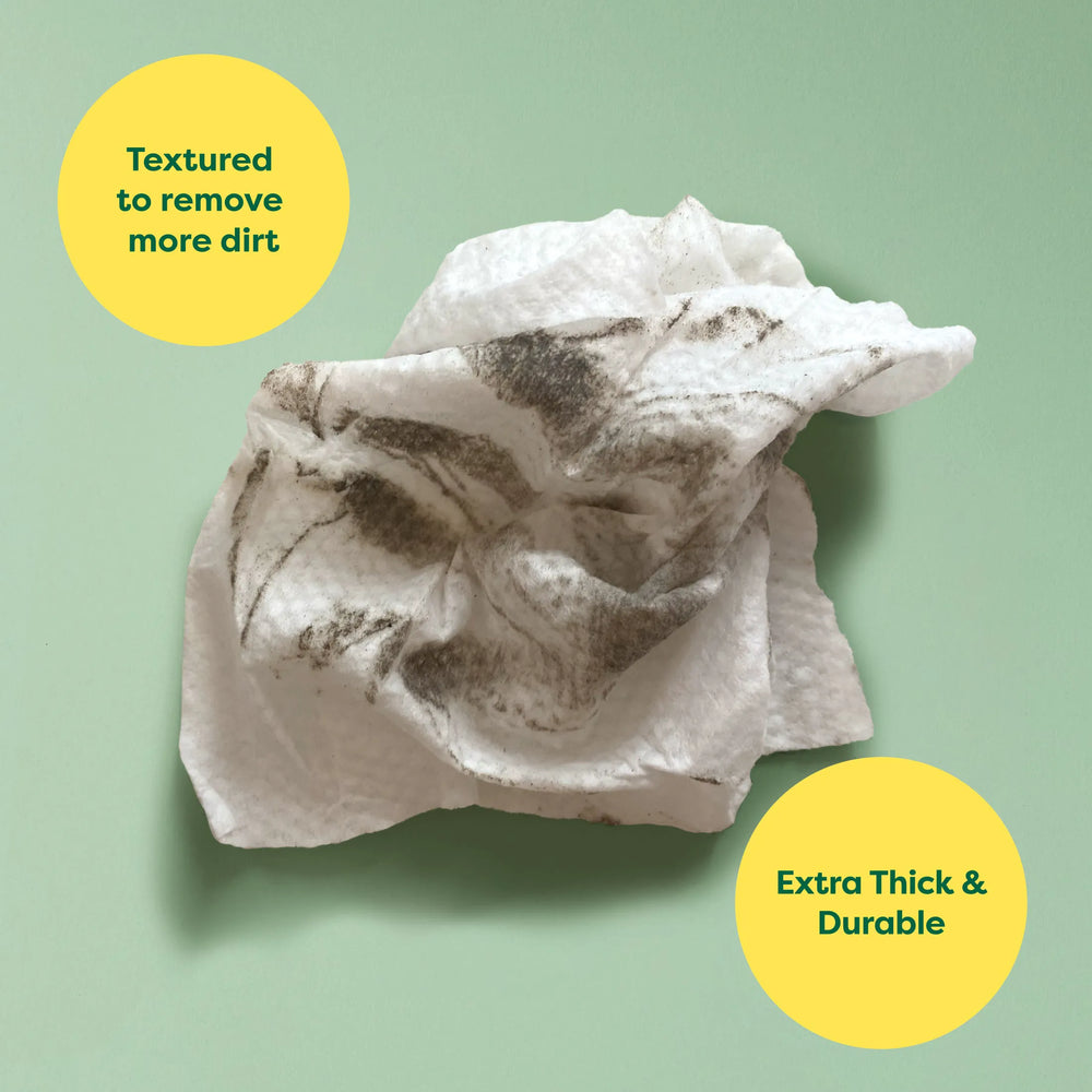 100 Wipes (1 Pack)