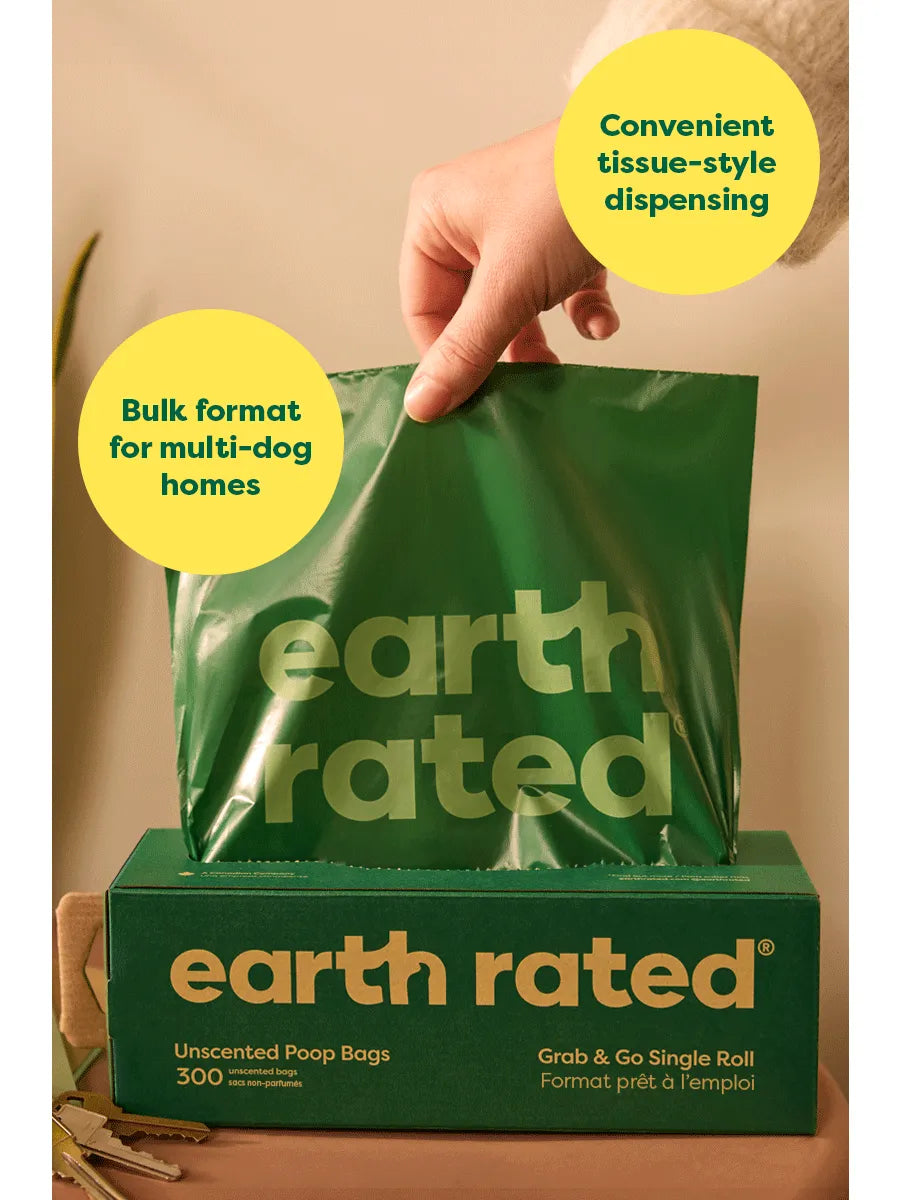 100 Bags