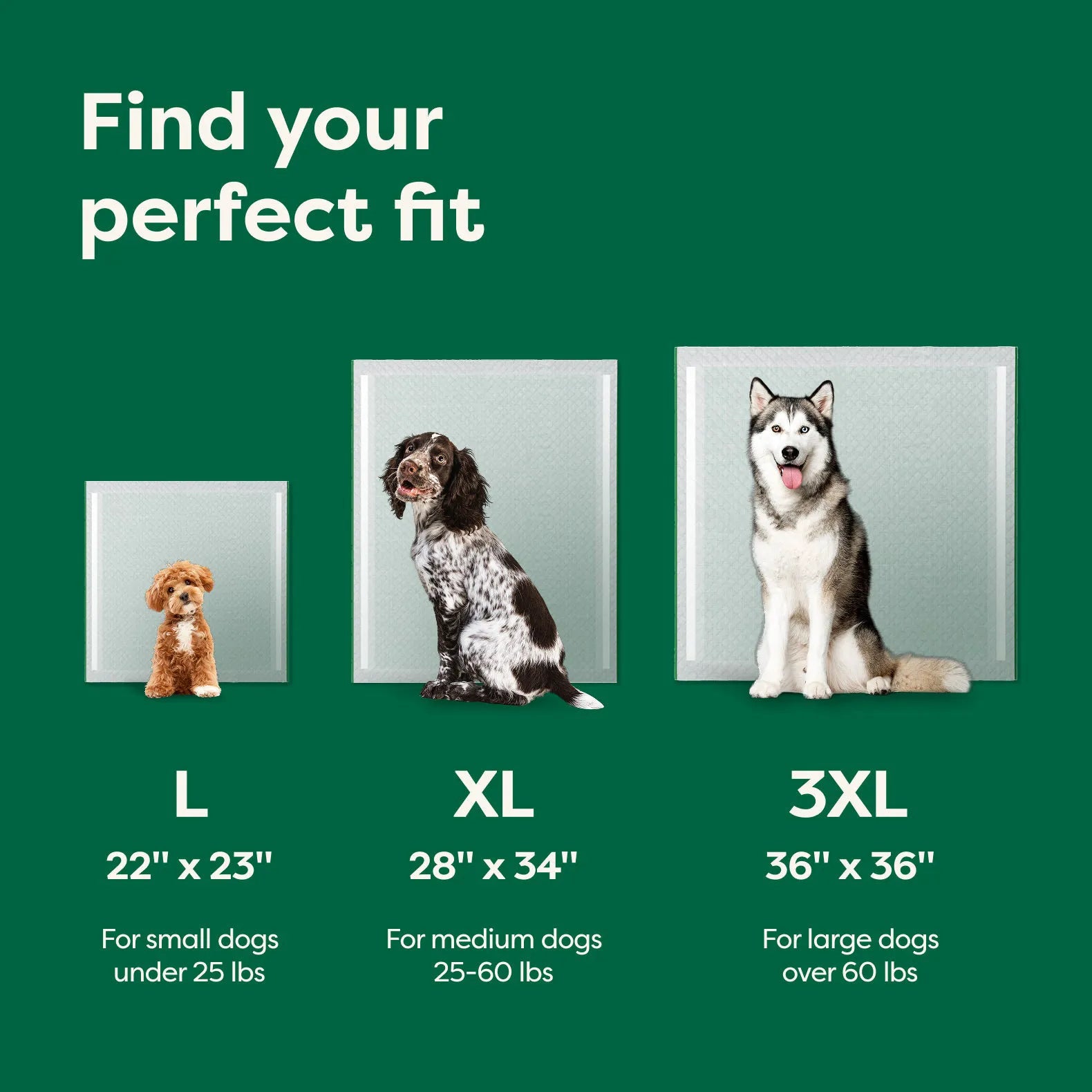 Large - 22" x 23" (75 Count)